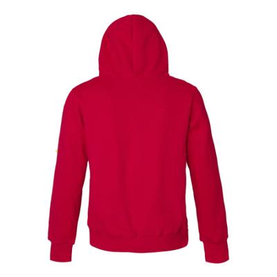 cheap ralph lauren men's hoodies cheap no. 400